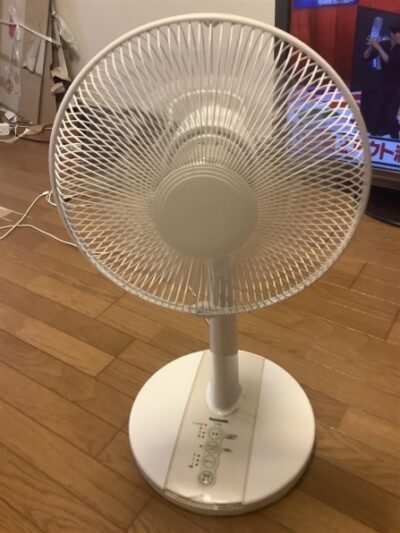 Quạt cây Panasonic F-CV324