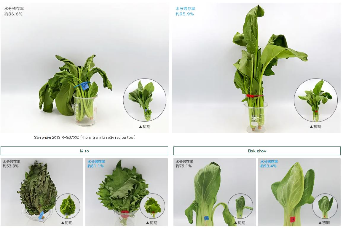 Tủ lạnh Hitachi R-HW49S