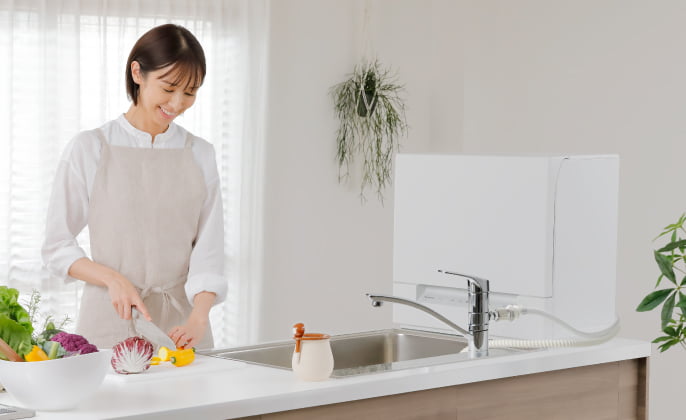 Máy rửa bát Panasonic NP-TSP1