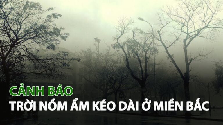 Cách xử lý khi thời tiết nồm ẩm khó chịu tại miền Bắc?
