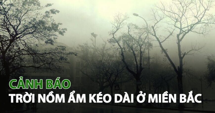 Cách xử lý khi thời tiết nồm ẩm khó chịu tại miền Bắc? 18 Cách xử lý khi thời tiết nồm ẩm khó chịu tại miền Bắc? 15