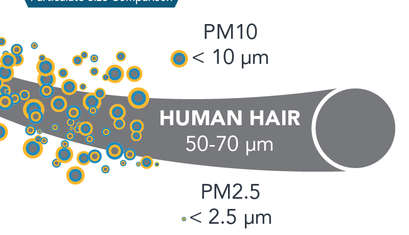 Bụi mịn PM2.5 là gì? Phân biệt bụi min PM2.5 và PM10 1 Kích thước tương đối của bụi min Pm2.5 và Pm10