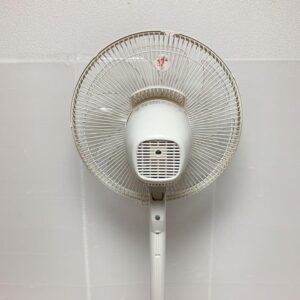 Quạt điện Panasonic F-CW338