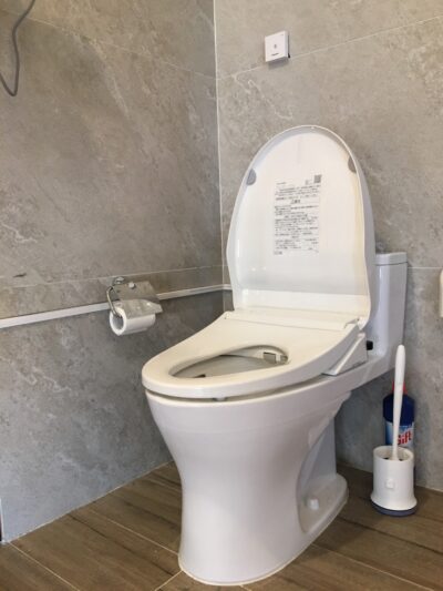 Nắp bệt điện tử Panasonic DL-RSTK50-WS Nắp bệt điện tử Panasonic DL-RSTK50-WS