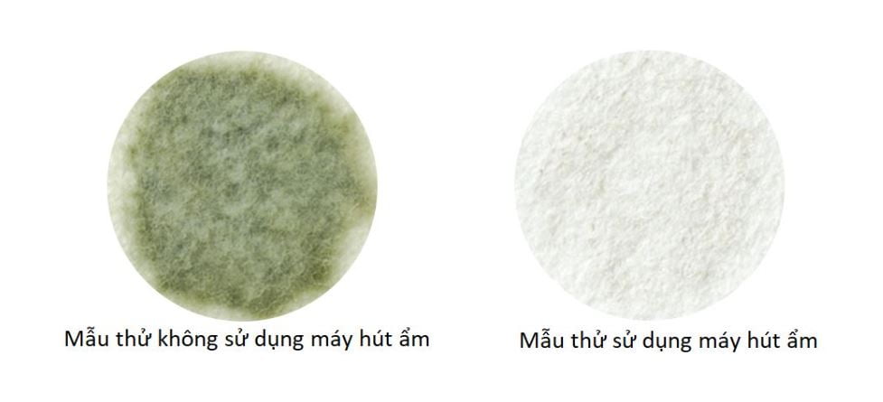 Máy hút ẩm Mitsubishi MJ-180YX-W